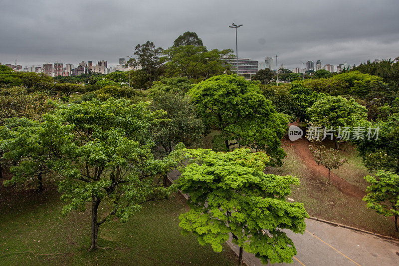 巴西圣保罗公园Ibirapuera Park